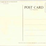 Hong Kong - Dragon Boats and Floating Restaurant