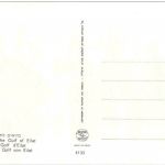 Bedouins at the Gulf of Eilat camel