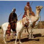 Beduin Horsemen Camel