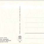 Beduin Horsemen Camel