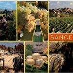 Sancerre