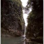 Shennong