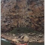 Shennong