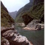 Shennong