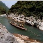 Shennong