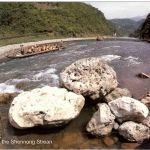 Shennong