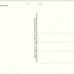 Ulm Bahnhof Strassenbahn