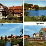 Lychen