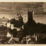 Bingen - Burg Klopp