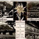 Gruss aus Nussdorf am Inn mit echtem Edelweiss