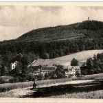 Hain mit Hochwald