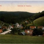Tanne Harz