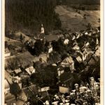 Wildemann im Oberharz