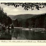 Bad Sachsa - Am Schmelzteich