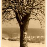 Braunlage - Photo