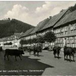 Bad Lauterberg - Damenkapelle