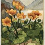 Kohler Chocolats - Werbung