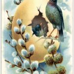 Vögel Litho Prägekarte
