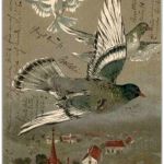 Tauben - Prägekarte