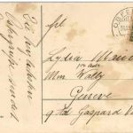 Hasen - Fröhliche Ostern