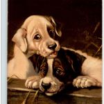 Hunde