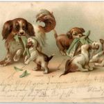 Hunde - Prägekarte Litho