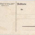 Englisches Widderkaninchen - Rammler