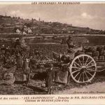 Chateau de Beaune - Aux Champimonts - Wein Wine