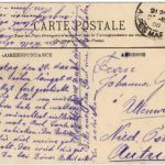 Cote D Azur - La Cueillette des Fleurs d Orangers