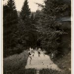 Herisau - Boule