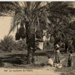La Cueillette des Dattes