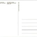 Vacher du Canton de Schwiz