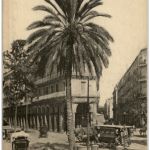Alger - Le Palmier et la Rue de la Liberte