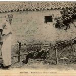 Algerie - Arabe faisant rotir un mouton