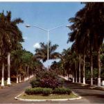 Panama - Avenida Federico Boyd