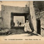 Paysages Sahariens - Dans l Oasis