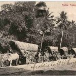 Ceylon - Native Transport