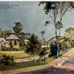 Rio de Janeiro - Un coin du jardin public a Tijuca