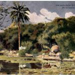 Rio de Janeiro - Une partie du lac du Jardin Botanique