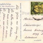 Front View of Wat Phrathat Hari phoon chai