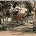 Singapore - Native Cemetery