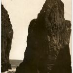 Fenmopila