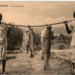 Albertville - Une belle peche