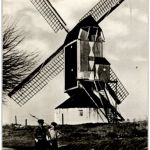 Hollands Molenlandschaf Mühle