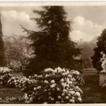 Dresden - Grosser Garten