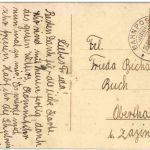 Catharina Klein - Trauben Orange