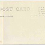 Sunset Cliffs - Point Loma - San Diego