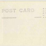 Sunset Cliffs - Point Loma - San Diego