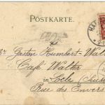 Hunde - Litho