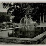 Bad Driburg - Goldfisch Brunnen